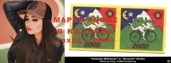 ГАЛЛЮЦИНОГЕННЫЕ ГРИБЫ Алзамай
