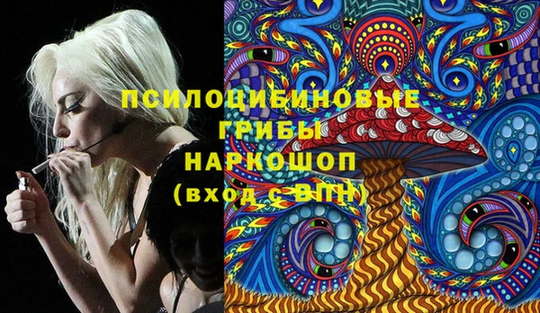 ГАЛЛЮЦИНОГЕННЫЕ ГРИБЫ Алзамай