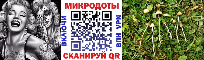 Галлюциногенные грибы мухоморы  Щёлкино 